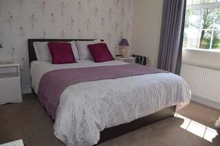 Отели типа «постель и завтрак» Orchard Grove B&B Bagenalstown Двухместный номер Делюкс с 1 кроватью и душем-1