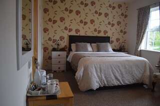 Отели типа «постель и завтрак» Orchard Grove B&B Bagenalstown Трехместный номер-7